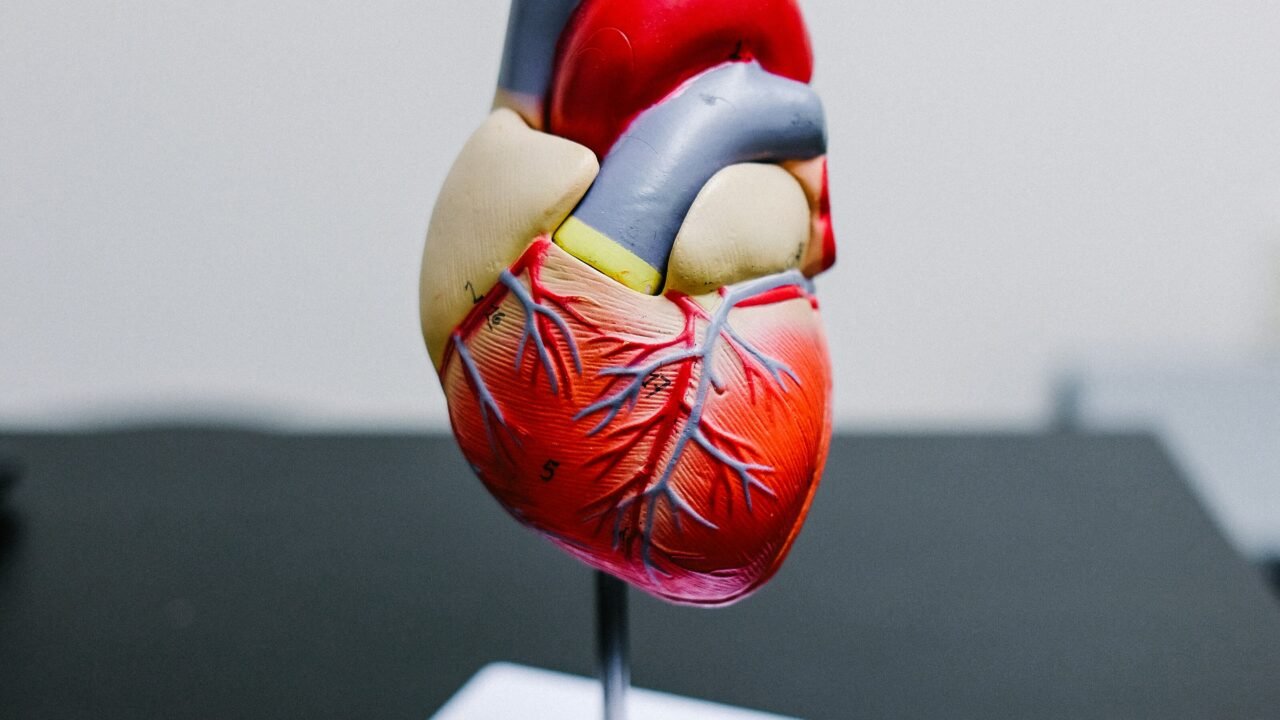 isenção do imposto de renda por cardiopatia grave